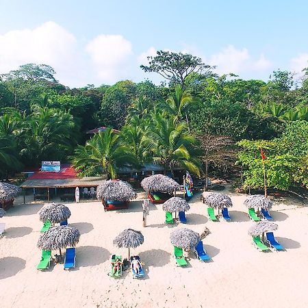 Red Frog Bungalows Surf Resort 巴斯蒂门多斯 外观 照片