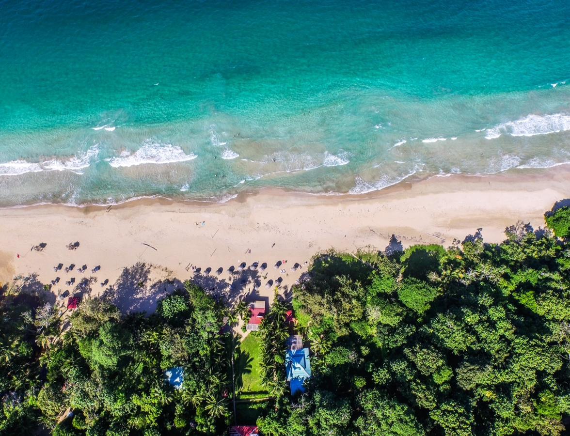 Red Frog Bungalows Surf Resort 巴斯蒂门多斯 外观 照片