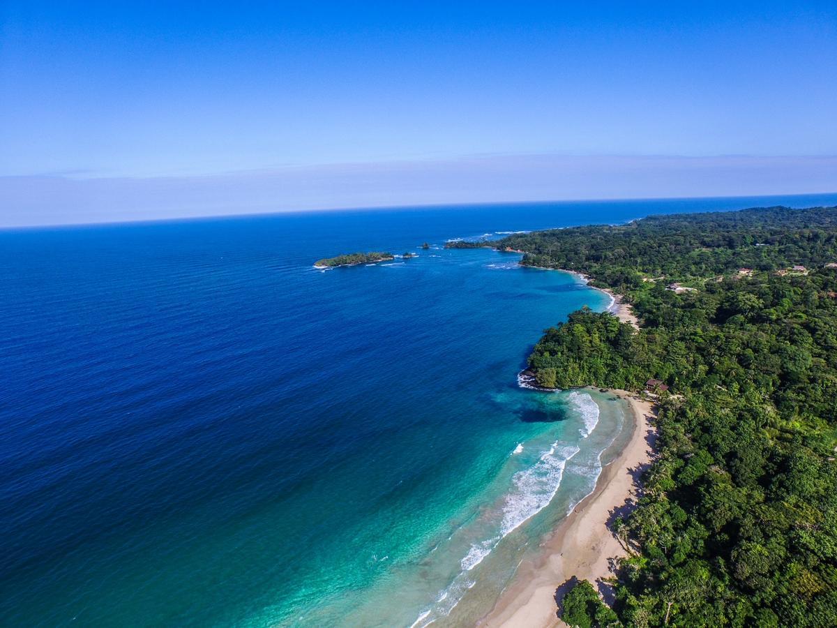 Red Frog Bungalows Surf Resort 巴斯蒂门多斯 外观 照片