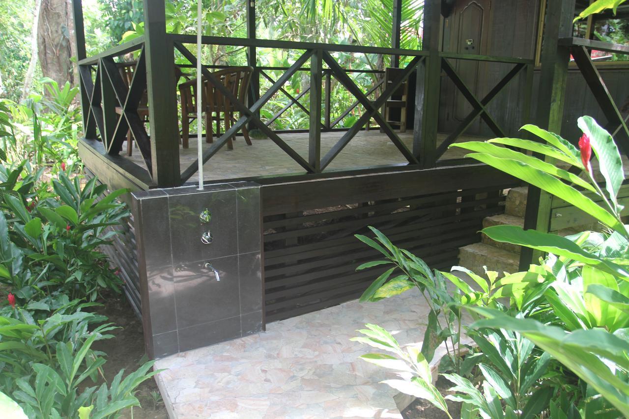 Red Frog Bungalows Surf Resort 巴斯蒂门多斯 外观 照片