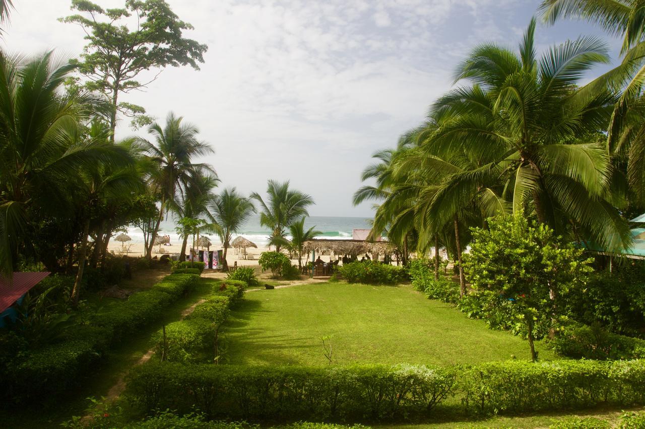 Red Frog Bungalows Surf Resort 巴斯蒂门多斯 外观 照片