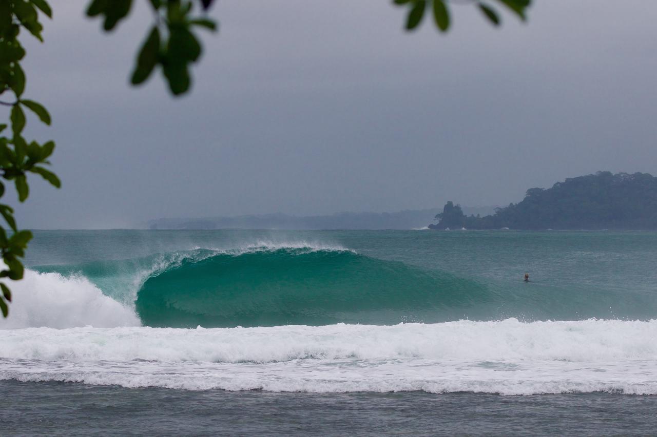 Red Frog Bungalows Surf Resort 巴斯蒂门多斯 外观 照片