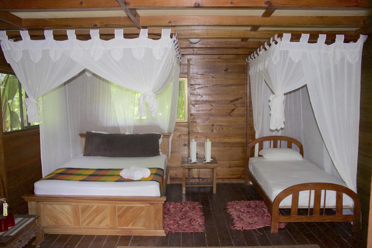 Red Frog Bungalows Surf Resort 巴斯蒂门多斯 外观 照片