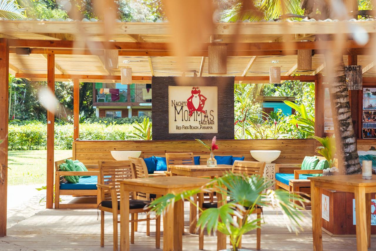 Red Frog Bungalows Surf Resort 巴斯蒂门多斯 外观 照片