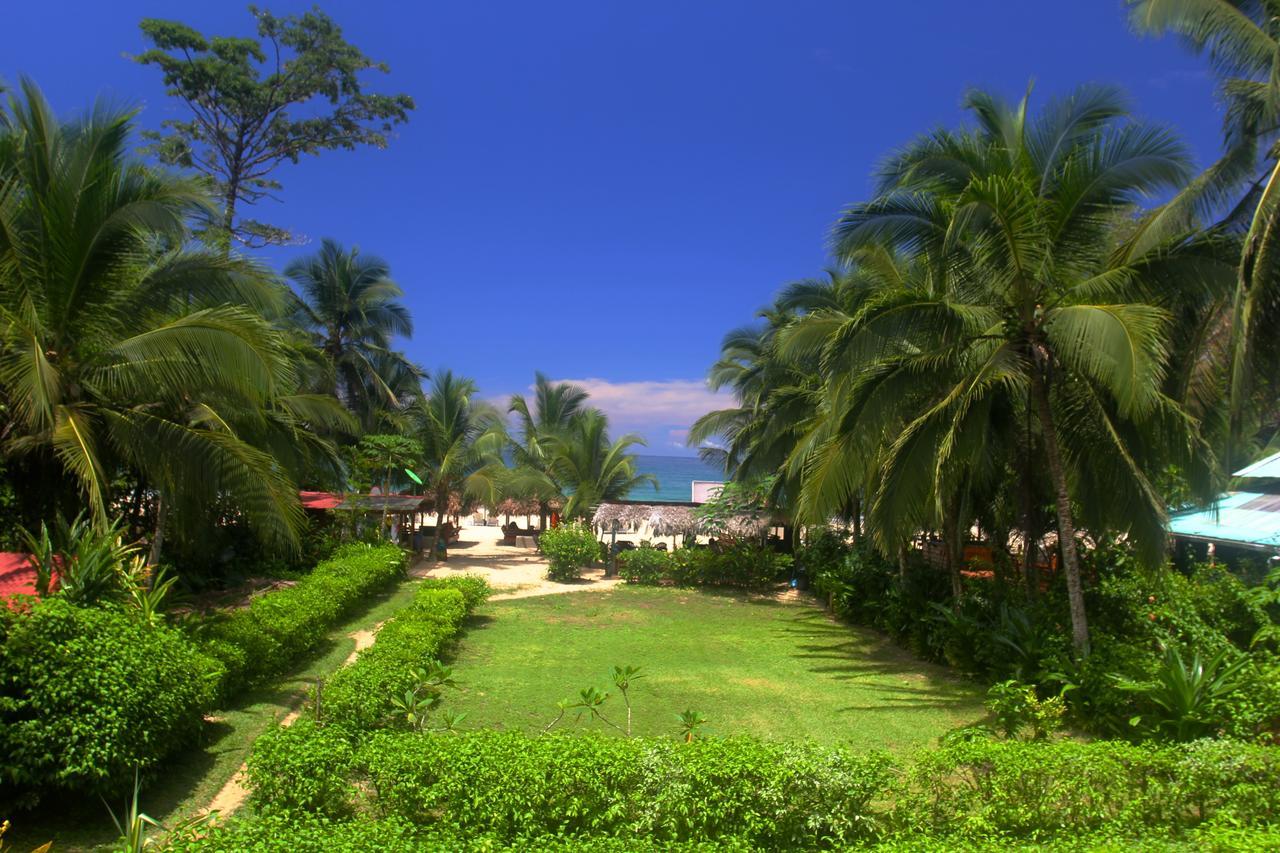 Red Frog Bungalows Surf Resort 巴斯蒂门多斯 外观 照片