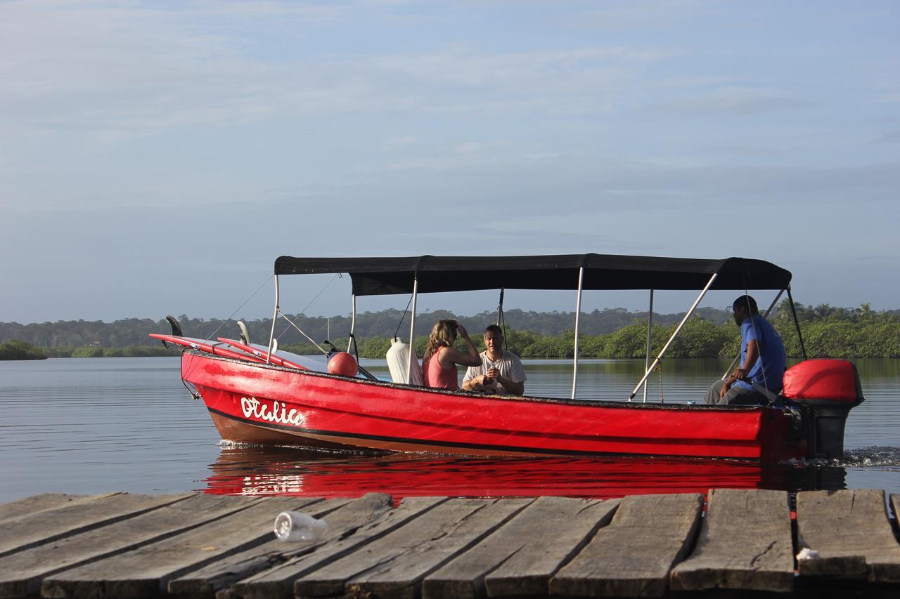 Red Frog Bungalows Surf Resort 巴斯蒂门多斯 外观 照片