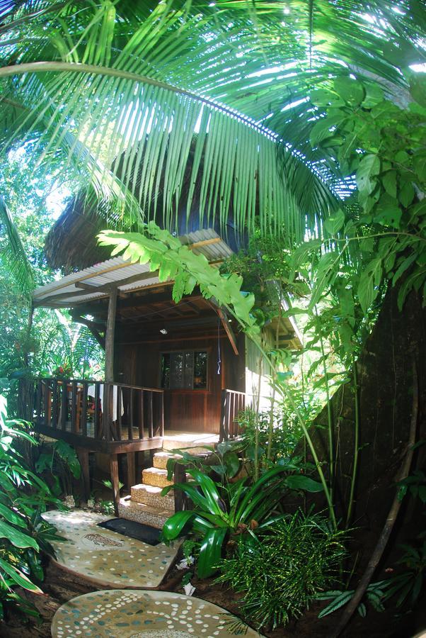 Red Frog Bungalows Surf Resort 巴斯蒂门多斯 外观 照片