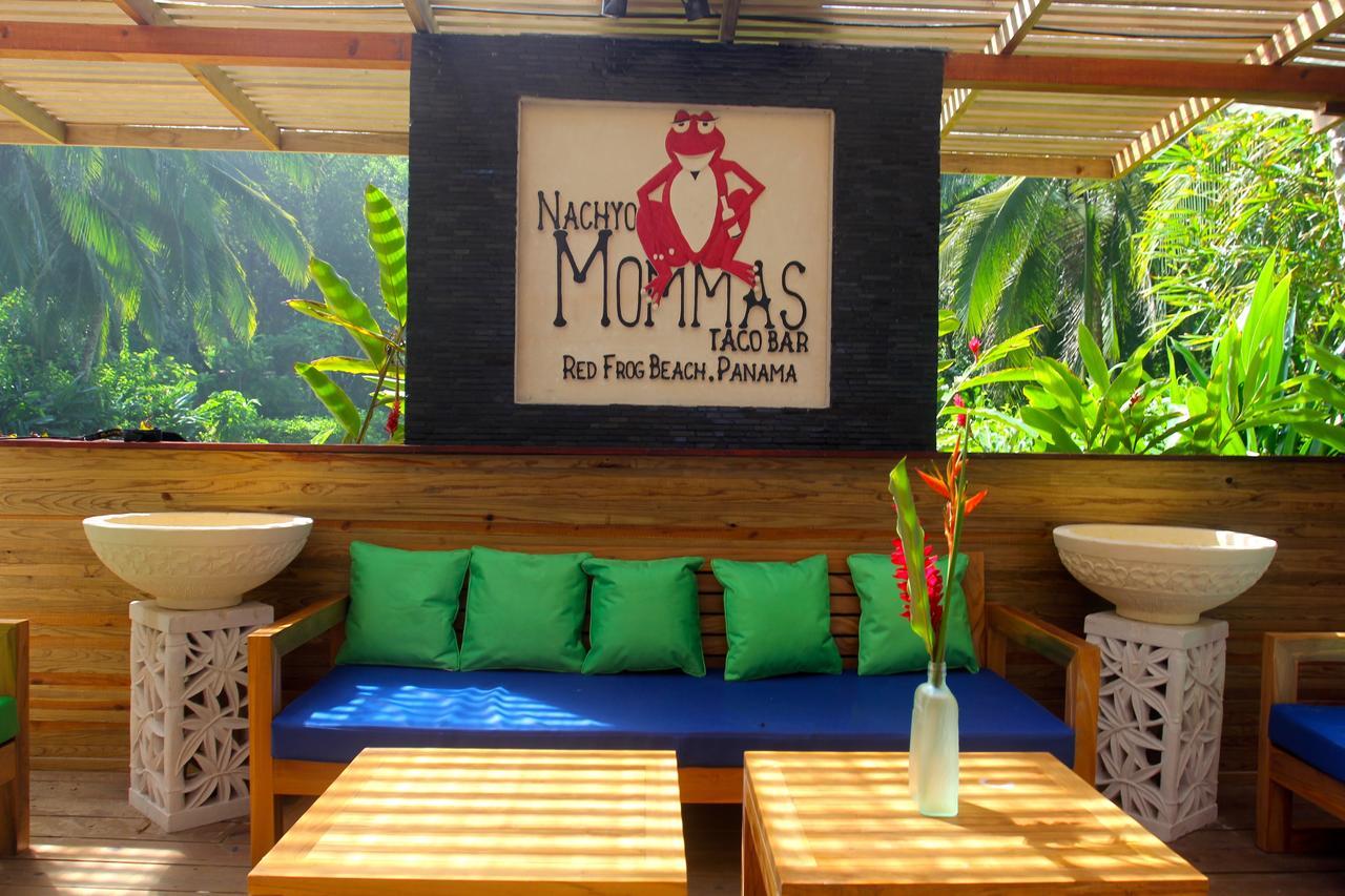 Red Frog Bungalows Surf Resort 巴斯蒂门多斯 外观 照片