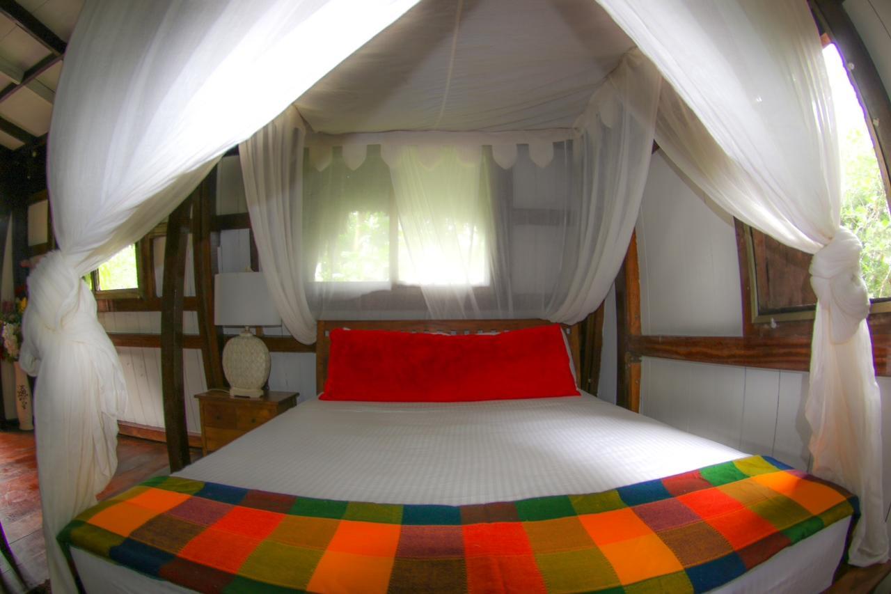 Red Frog Bungalows Surf Resort 巴斯蒂门多斯 外观 照片