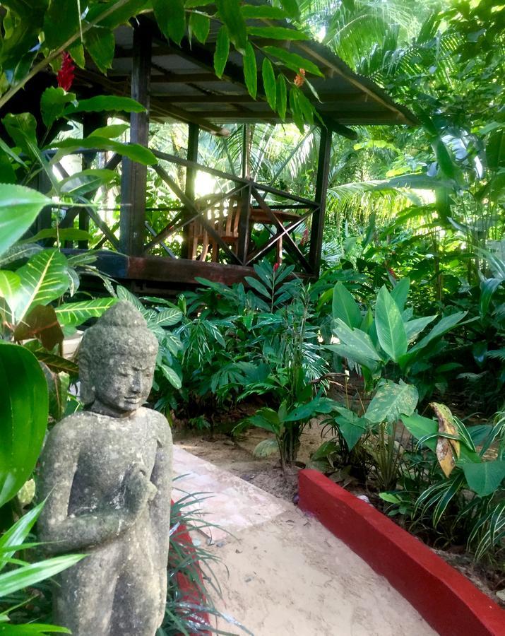 Red Frog Bungalows Surf Resort 巴斯蒂门多斯 外观 照片