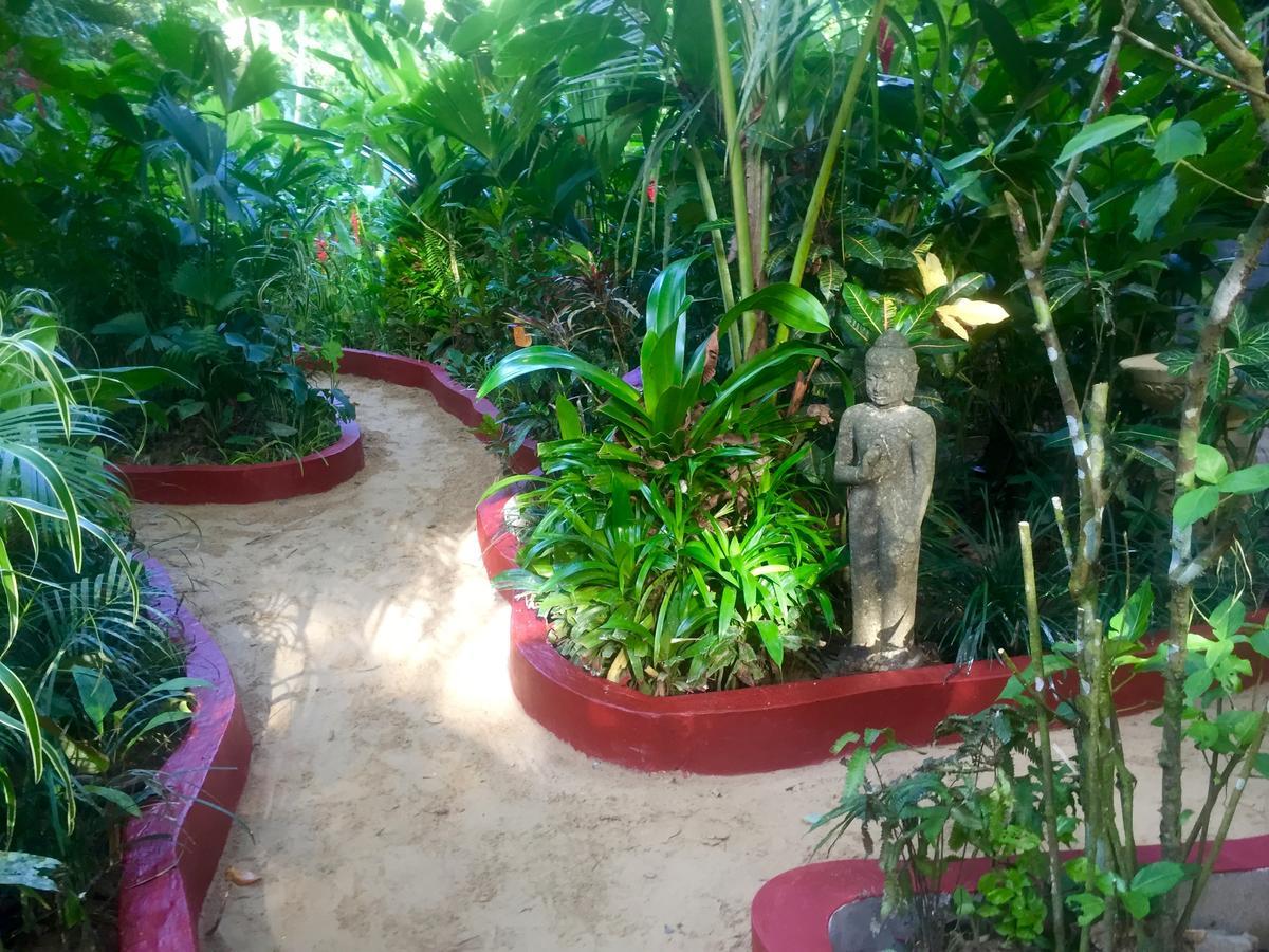 Red Frog Bungalows Surf Resort 巴斯蒂门多斯 外观 照片