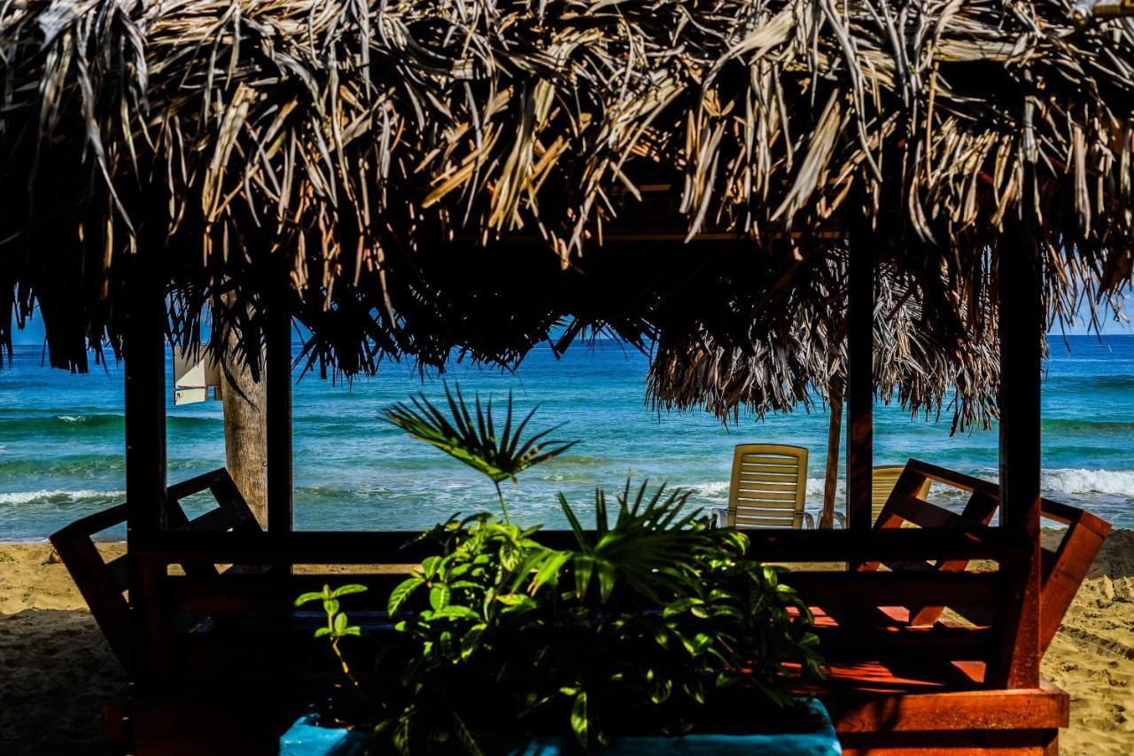 Red Frog Bungalows Surf Resort 巴斯蒂门多斯 外观 照片